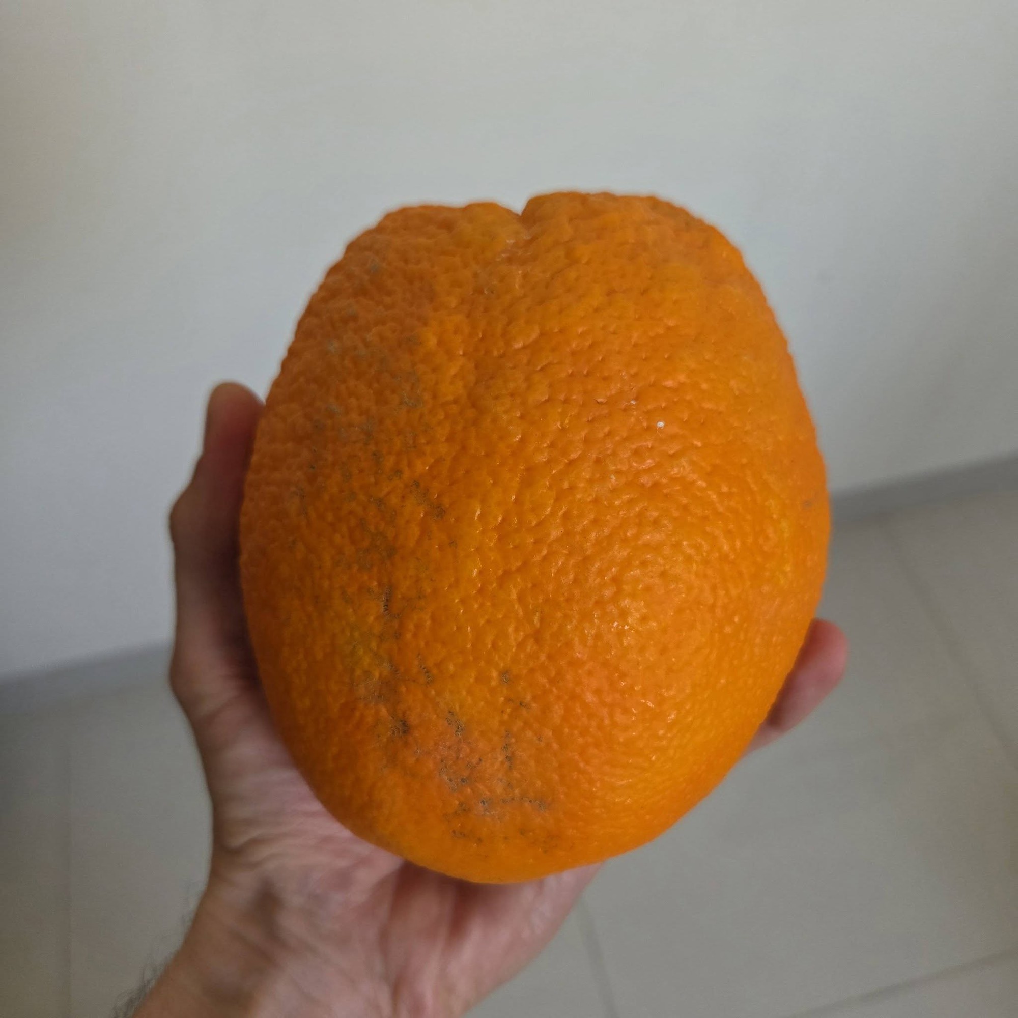 Khách Tây nằng nặc mua hết xe chở cam có biển 37, đòi bán lại giá gấp đôi vì lý do không ai ngờ tới- Ảnh 3.