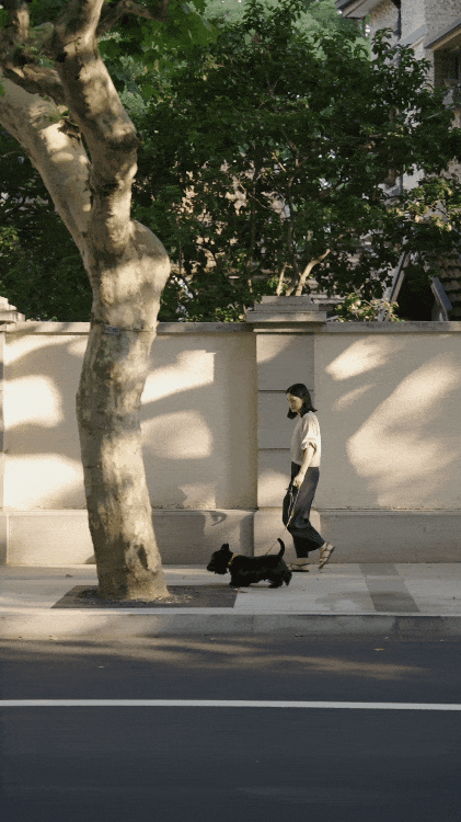 Căn hộ 200m² và người phụ nữ tuổi 40 sống một mình: Minh chứng rằng tự do đến từ tài chính vững, không phải hôn nhân- Ảnh 12.