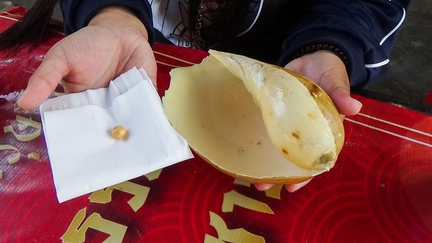 Mua con ốc 50 ngàn đồng về ăn, cô gái nghèo đổi đời thành tỷ phú nhờ báu vật giấu kín- Ảnh 2.