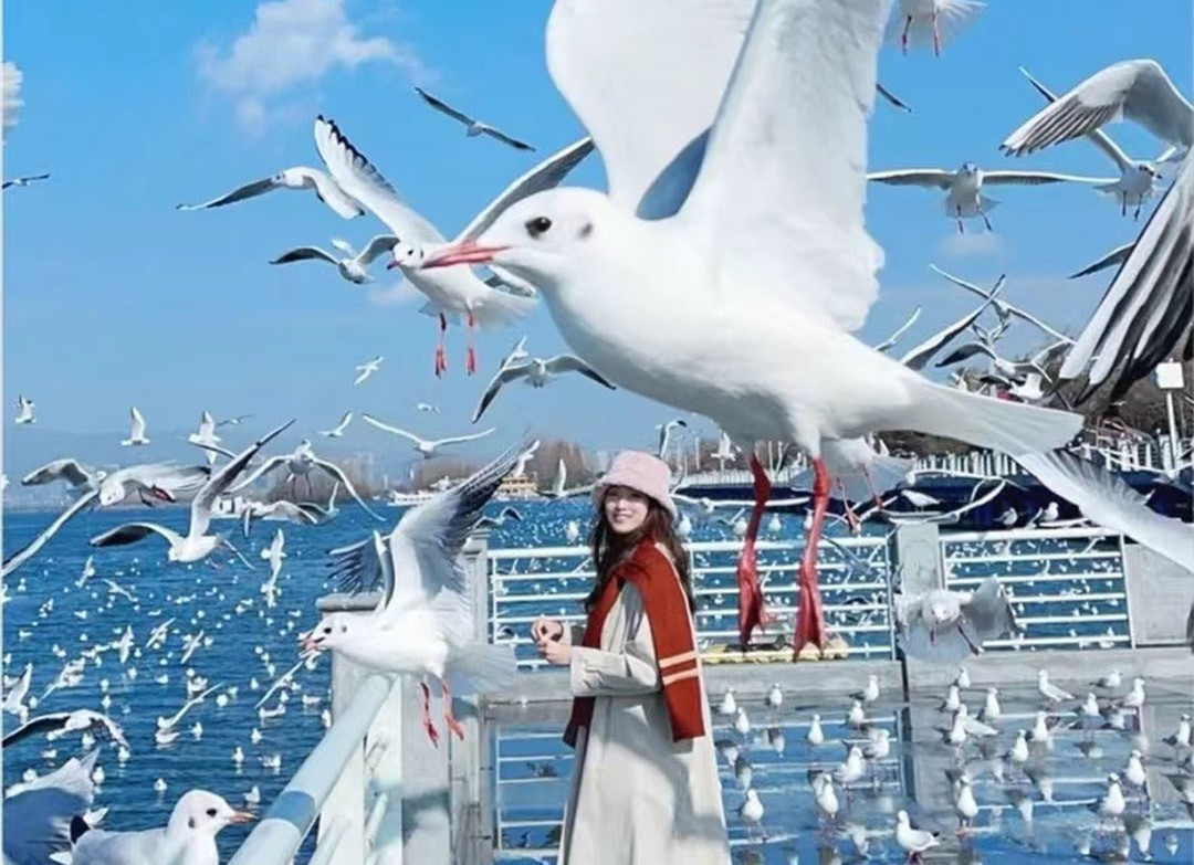 Khách Việt kể chuyện đi ngắm tuyết trên núi cao hơn 4000m ở Trung Quốc, nhận xét: "Không ngờ đến mức này!" - Ảnh 13.