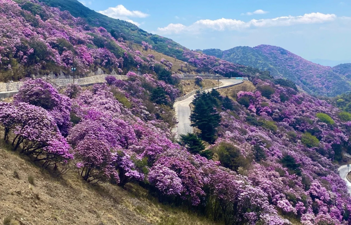 Khách Việt kể chuyện đi ngắm tuyết trên núi cao hơn 4000m ở Trung Quốc, nhận xét: "Không ngờ đến mức này!" - Ảnh 17.