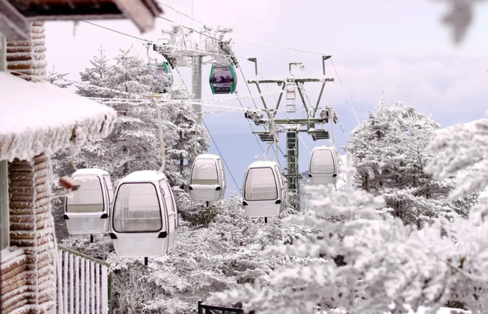 Khách Việt kể chuyện đi ngắm tuyết trên núi cao hơn 4000m ở Trung Quốc, nhận xét: "Không ngờ đến mức này!" - Ảnh 12.