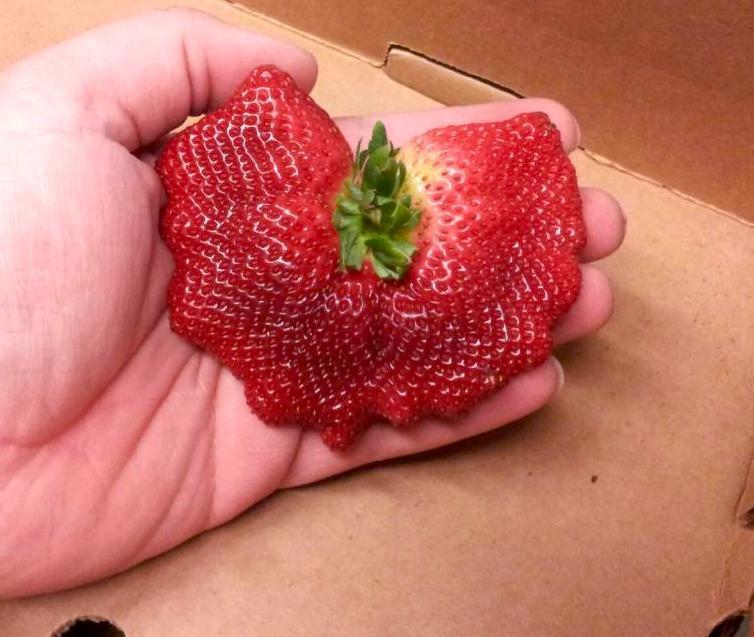 XIN NHẮC NHỞ: 3 loại trái cây tế bào ung thư "yêu thích", bác sĩ không dám động nhưng nhiều người ngày nào cũng ăn - Ảnh 2.