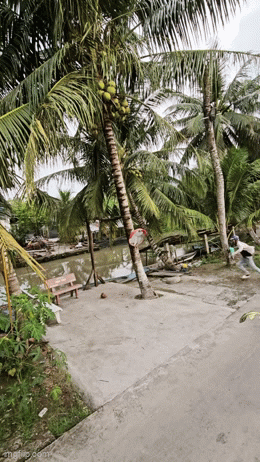 Kiếp nạn mà shipper nào cũng phải đối mặt: Chạy bán sống bán chết giữa đường, cái kết khiến ai cũng bật cười- Ảnh 1.