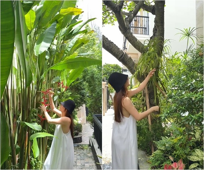 Mỹ nhân 33 tuổi làm dâu hào môn gia tộc kín tiếng, bố mẹ chồng cưng như con gái ruột, tặng quà cưới gây sốc- Ảnh 15.