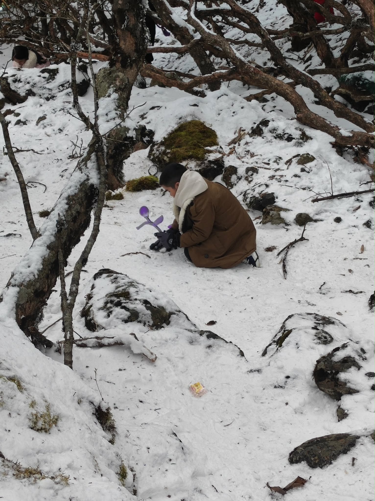 Khách Việt kể chuyện đi ngắm tuyết trên núi cao hơn 4000m ở Trung Quốc, nhận xét: "Không ngờ đến mức này!" - Ảnh 2.