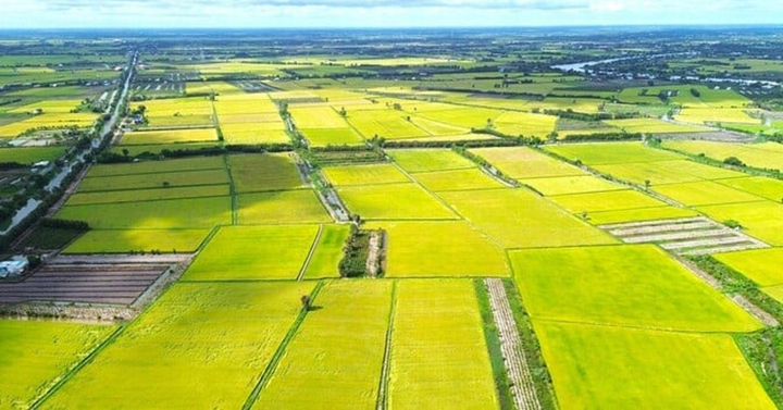 Giá đất nông nghiệp vài trăm nghìn đồng/m², quá thấp so với đất ở: Có nên tăng?- Ảnh 1.