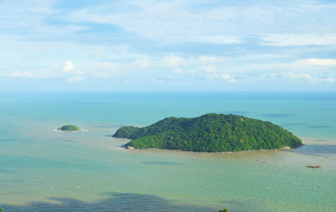 Cà Mau chuyển gần 10ha rừng phòng hộ để làm đường ra đảo Hòn Khoai- Ảnh 1.