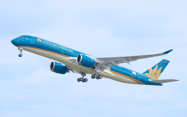 Vietnam Airlines bổ nhiệm 1 Phó Tổng Giám đốc- Ảnh 1.