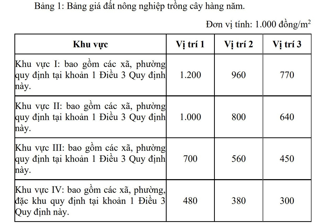 Diễn biến về bảng giá đất mới của TPHCM trước ngày thông qua- Ảnh 2.