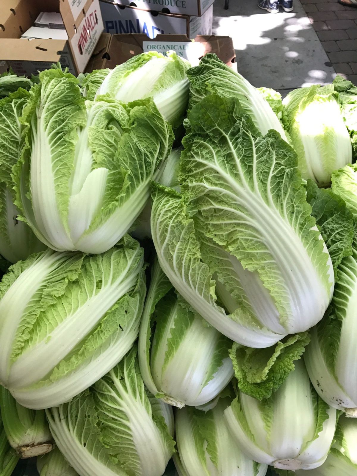 Top 5 loại rau củ an toàn bậc nhất trong mùa lạnh- Ảnh 2.