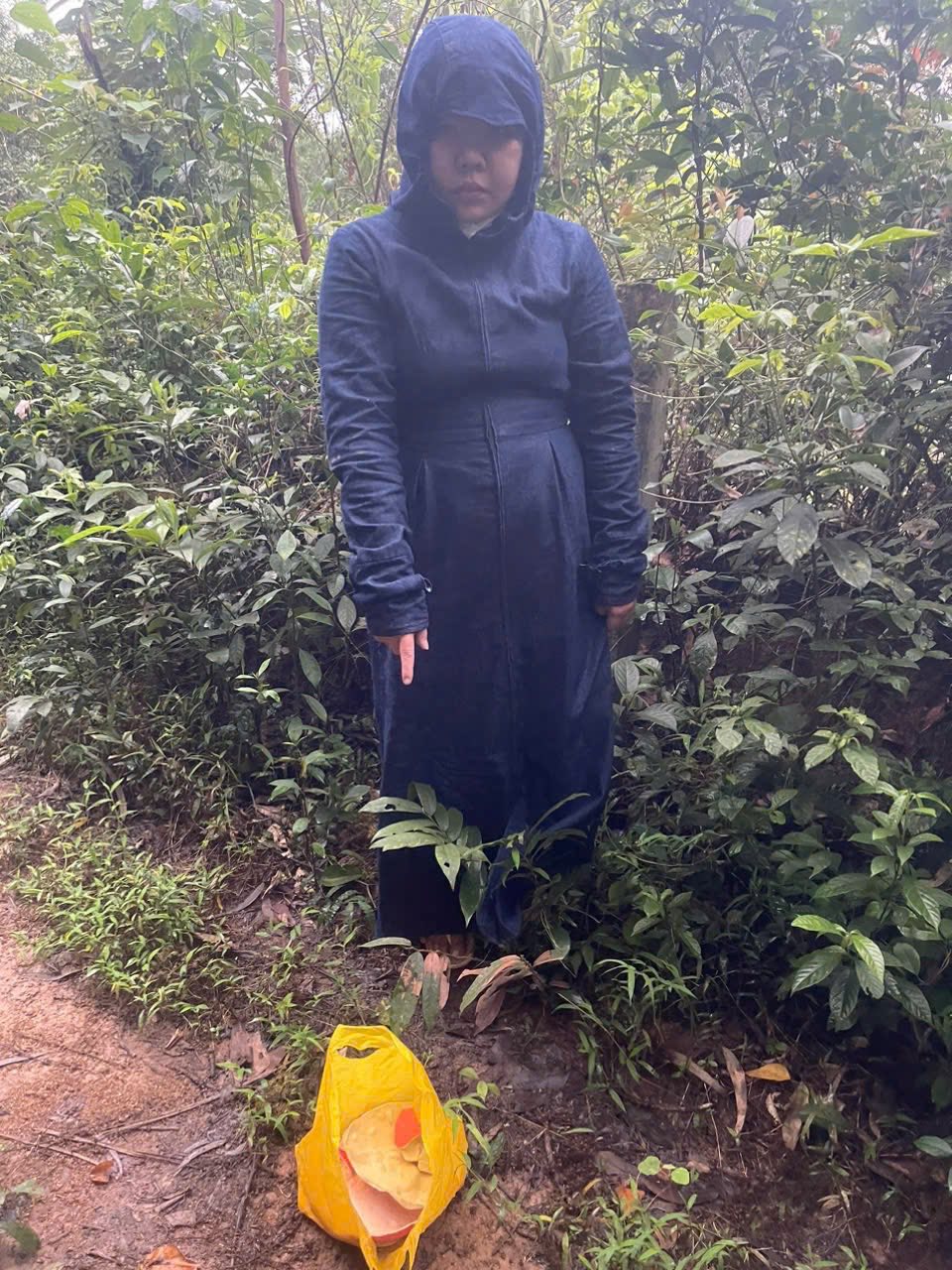 Bắt giữ Võ Thị Thu Phương 29 tuổi - Ảnh 1.