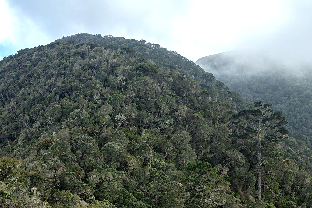 Một kỳ tích điện cao thế xuất hiện ở Cuba - Ảnh 2.