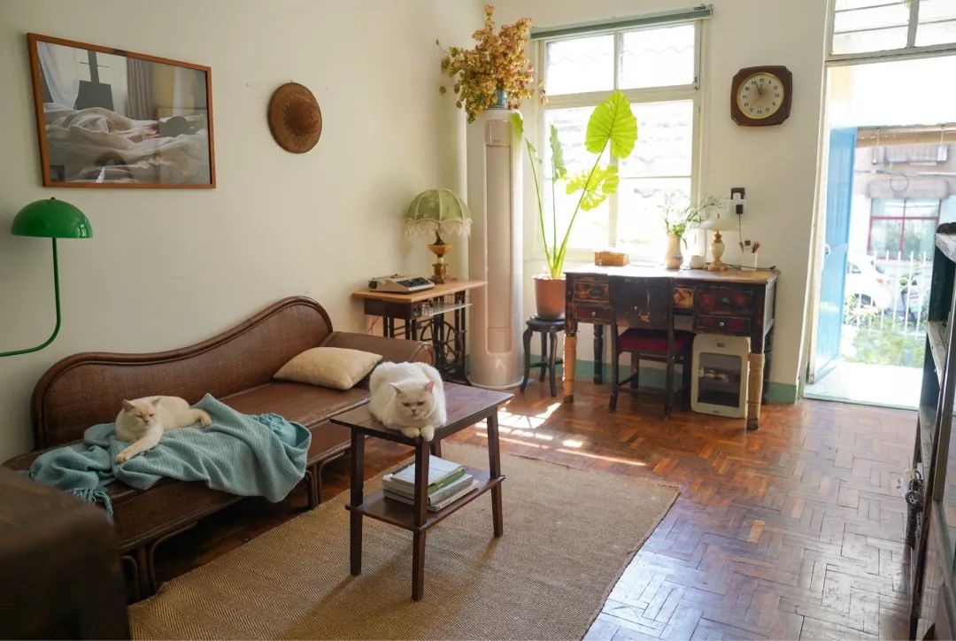 Tôi chạy theo trào lưu mua “nhà cũ – nhỏ” và hối hận tột độ: Chỉ sau 1 năm sống ở đó, tôi dọn đi trong nước mắt- Ảnh 5.