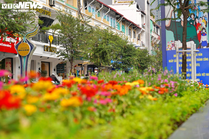 Ngắm loạt nhà cổ trung tâm TP.HCM 'khoác áo mới'- Ảnh 7.