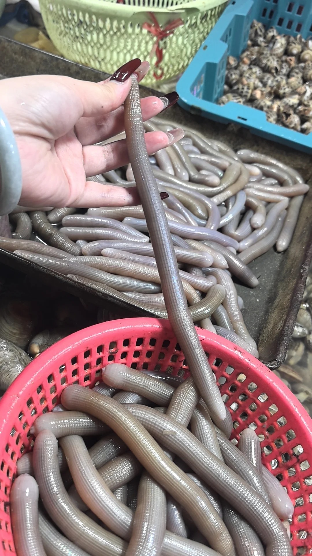 Món ăn nhìn nổi da gà ăn ngọt lịm tim: Đặc sản khiến khách Việt nhớ ngay đến "mì chính nhà giàu" ở quê nhà- Ảnh 2.