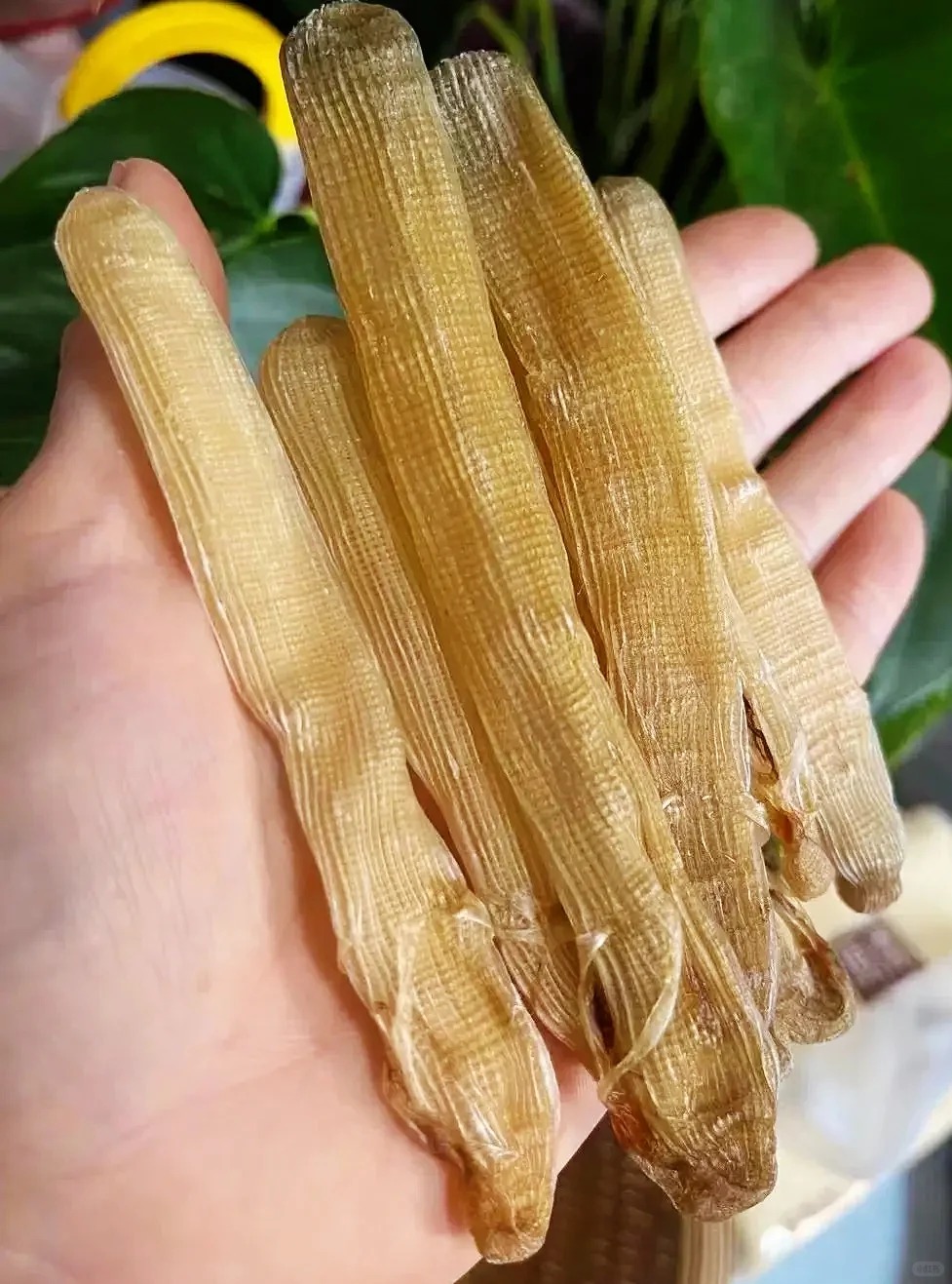 Món ăn nhìn nổi da gà ăn ngọt lịm tim: Đặc sản khiến khách Việt nhớ ngay đến "mì chính nhà giàu" ở quê nhà- Ảnh 9.