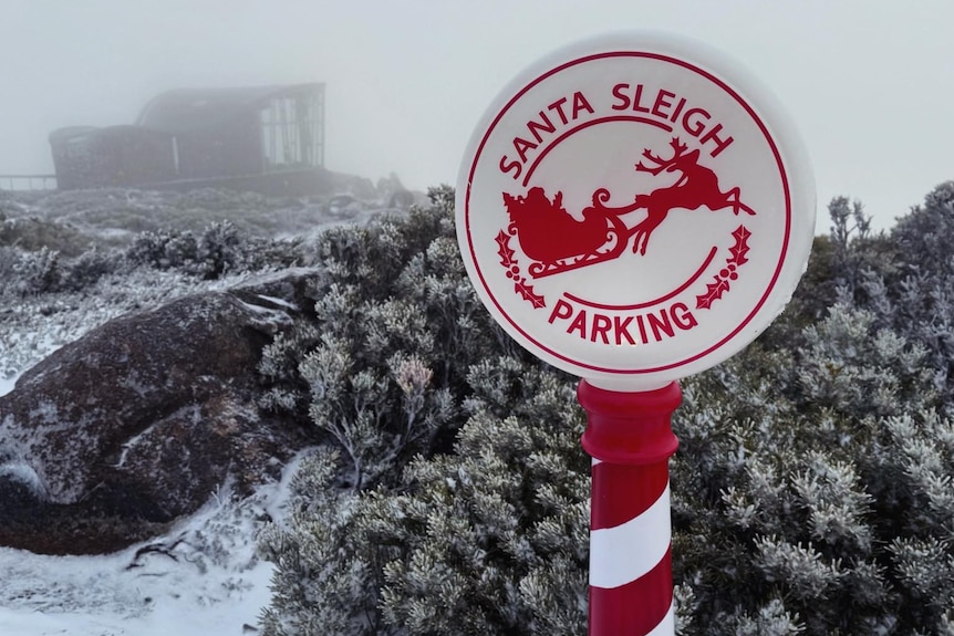 Nơi vừa có tuyết rơi hiếm có sau gần 20 năm!- Ảnh 5.