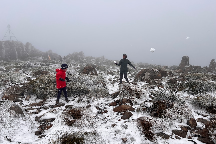 Nơi vừa có tuyết rơi hiếm có sau gần 20 năm!- Ảnh 9.