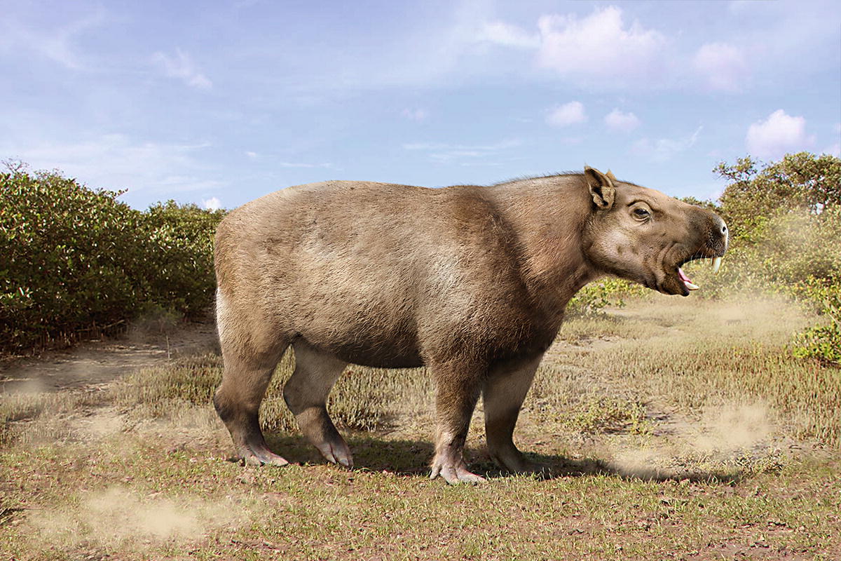 Loài chuột khổng lồ nặng 1 tấn, dài 3 mét, to ngang con trâu mộng- Ảnh 2.