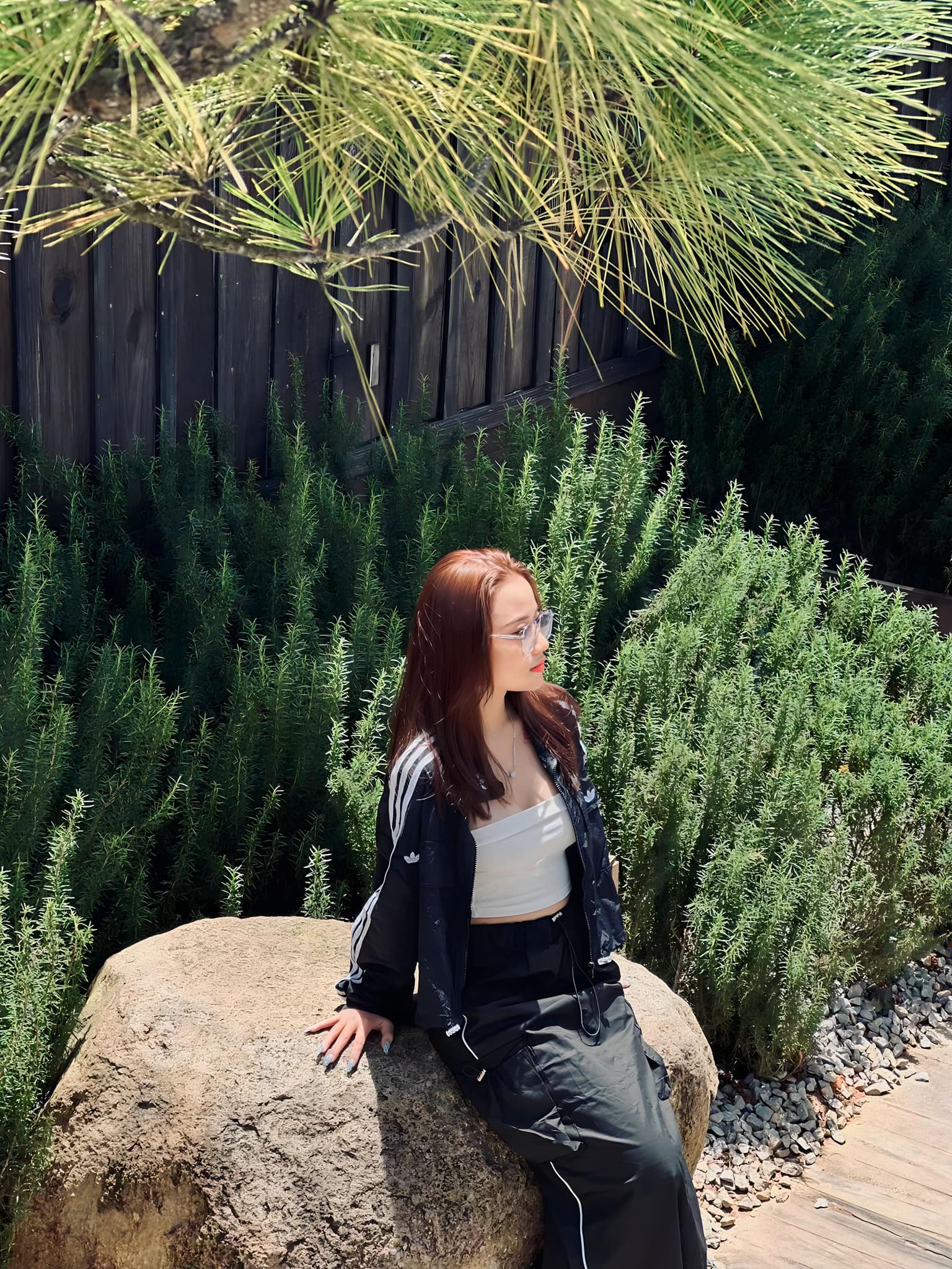 Đám cưới cháu nội danh ca Chế Linh: Nhan sắc cô dâu không một điểm trừ, thân thế chú rể gây bất ngờ lớn- Ảnh 10.