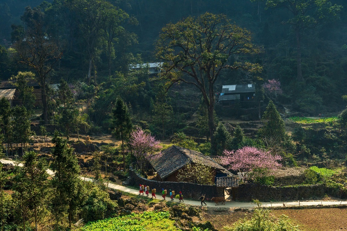 Cảnh báo nóng khi đặt phòng khách sạn dịp Tết- Ảnh 1. Cảnh báo nóng khi đặt phòng khách sạn dịp Tết- Ảnh 1.
