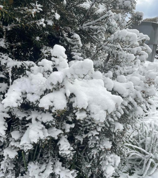 Nơi vừa có tuyết rơi hiếm có sau gần 20 năm!- Ảnh 1.