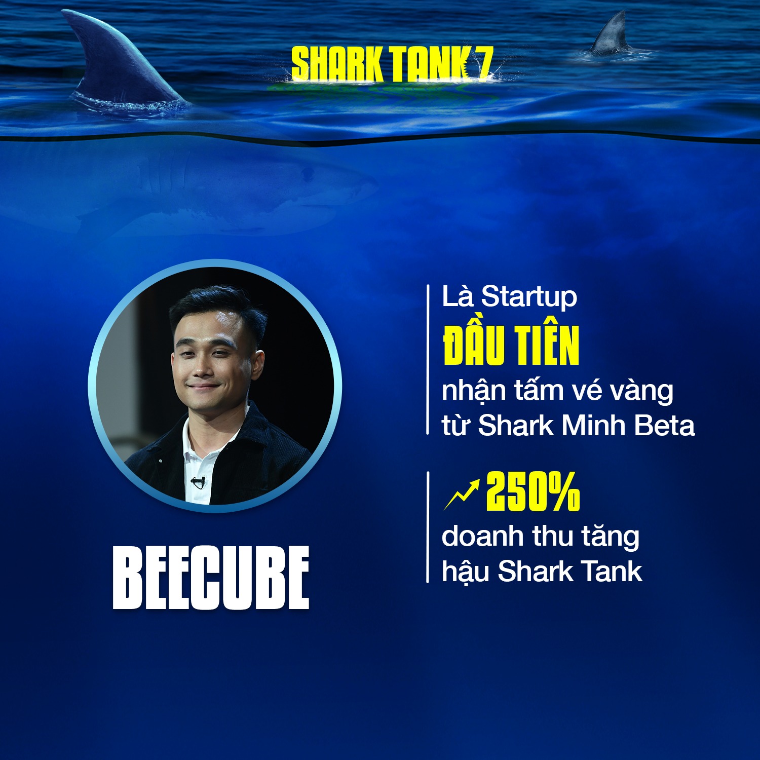 Nhìn lại những con số ấn tượng của Shark Tank Việt Nam sau 7 mùa phát sóng- Ảnh 5.