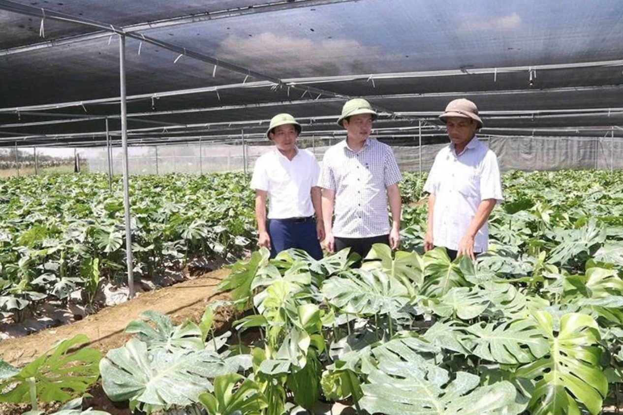 anh chup man hinh 2025 12 26 luc 141433