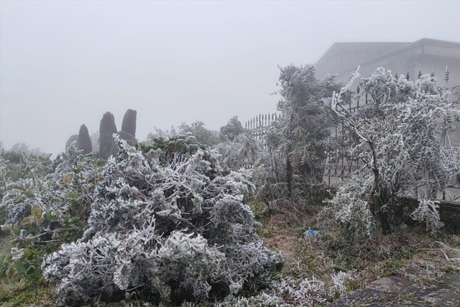 Ngoài Fansipan, đây là nơi lạnh không kém ở miền Bắc hôm nay: Cũng là núi, nhiều năm có băng giá, tuyết- Ảnh 11.