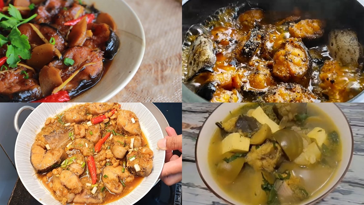 Việt Nam có loại cá người Trung Quốc ví ‘bổ ngang vi cá mập’: Cực tốt cho nam giới mà hay bị chê ‘bẩn’- Ảnh 2.