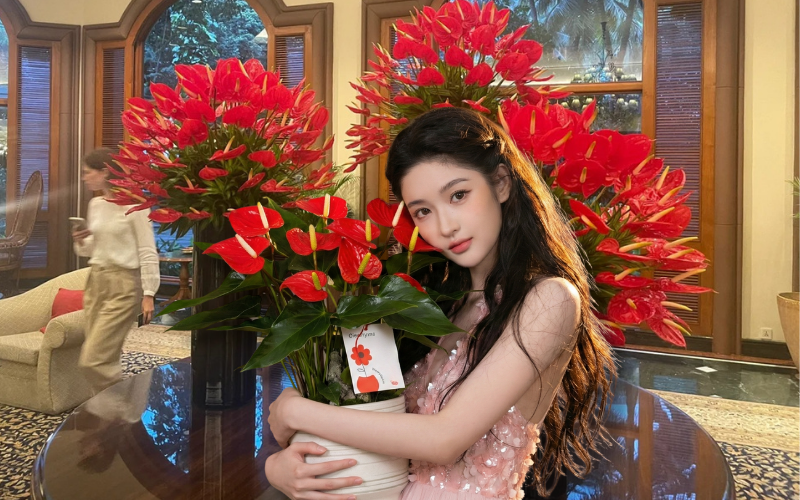 Loài hoa "nồi đồng cối đá" nở thông 365 ngày: Muốn chồng thăng quan tiến chức, tiền vào như nước nhất định phải rước về - Ảnh 1.