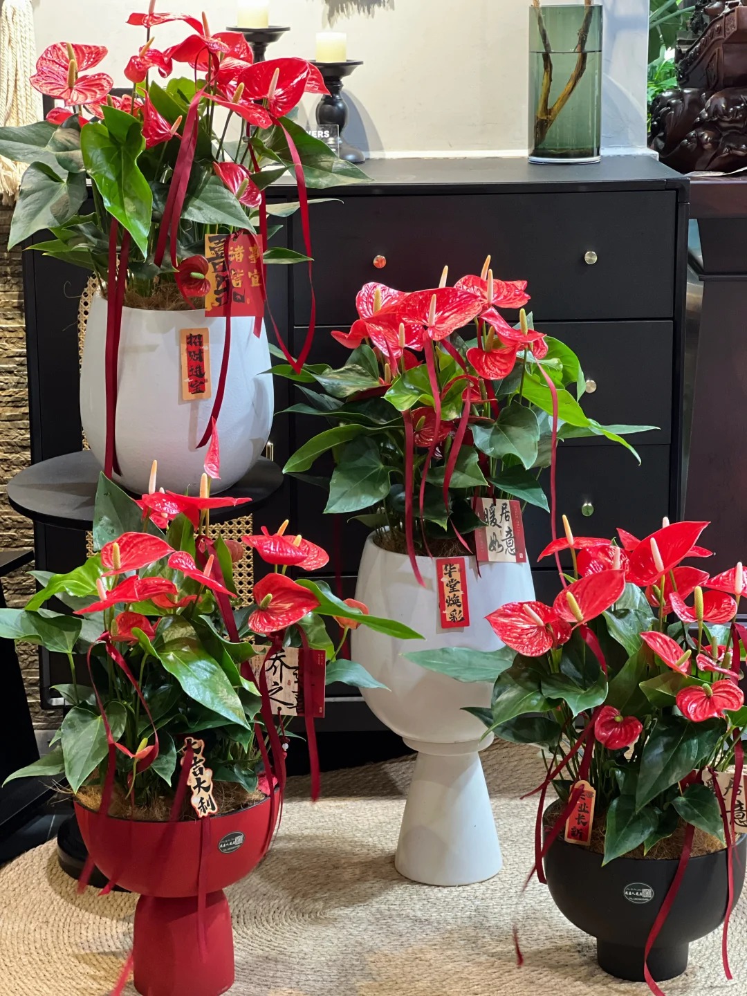 Loài hoa "nồi đồng cối đá" nở thông 365 ngày: Muốn chồng thăng quan tiến chức, tiền vào như nước nhất định phải rước về - Ảnh 24.