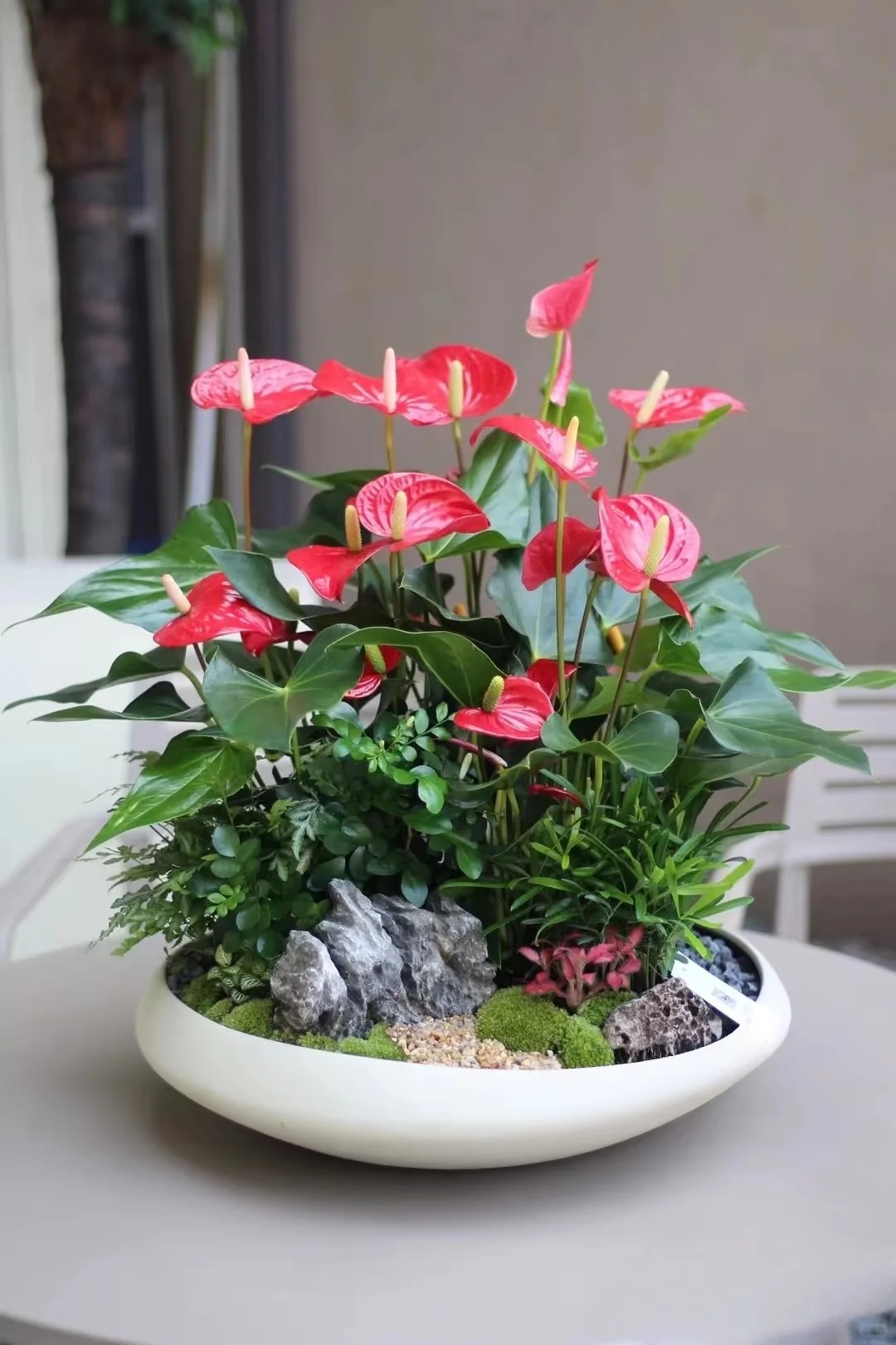 Loài hoa "nồi đồng cối đá" nở thông 365 ngày: Muốn chồng thăng quan tiến chức, tiền vào như nước nhất định phải rước về - Ảnh 8.