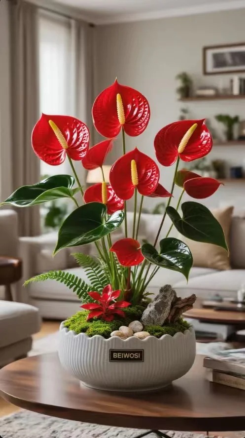 Loài hoa "nồi đồng cối đá" nở thông 365 ngày: Muốn chồng thăng quan tiến chức, tiền vào như nước nhất định phải rước về - Ảnh 12.