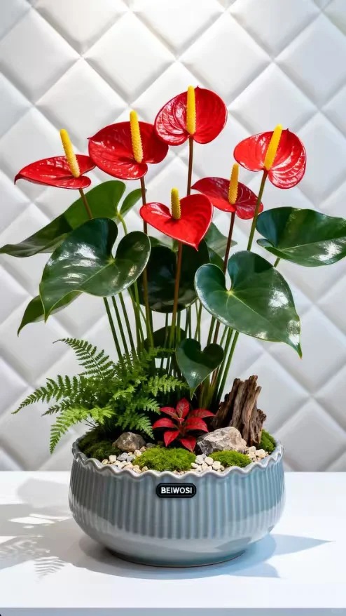 Loài hoa "nồi đồng cối đá" nở thông 365 ngày: Muốn chồng thăng quan tiến chức, tiền vào như nước nhất định phải rước về - Ảnh 13.