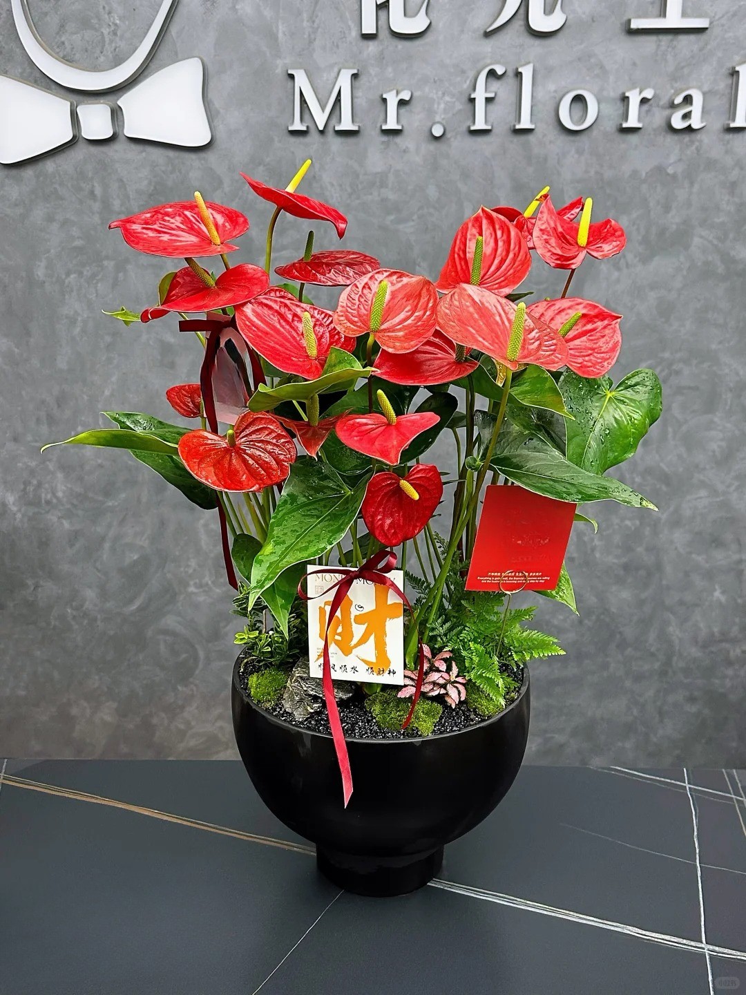 Loài hoa "nồi đồng cối đá" nở thông 365 ngày: Muốn chồng thăng quan tiến chức, tiền vào như nước nhất định phải rước về - Ảnh 18.