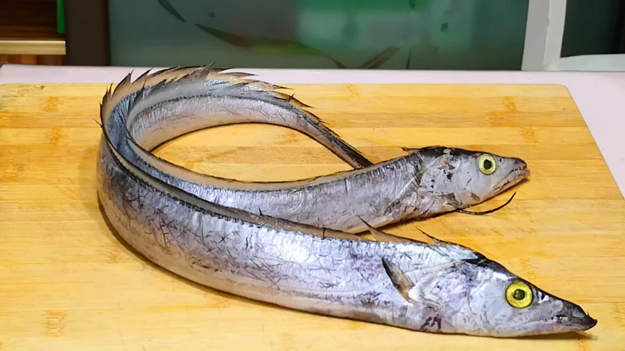 5 loại cá tự nhiên, không thể nuôi nhân tạo, thịt ngọt lại bổ như sâm- Ảnh 4.