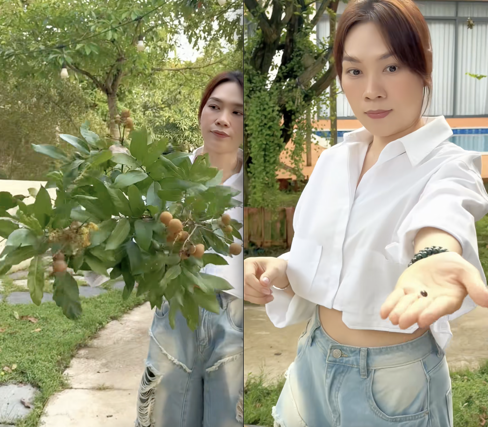 Bên trong biệt phủ của Mỹ Tâm: Sở hữu thứ độc nhất vô nhị, rộng đến mức Mai Tài Phến thả diều vô tư- Ảnh 6.