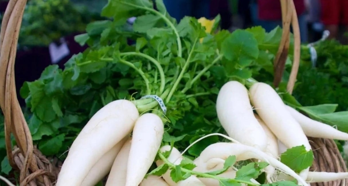 Phần này còn quý hơn "nhân sâm trắng", vitamin A gấp 2300 lần nhưng người Việt thường xuyên vứt bỏ - Ảnh 2.