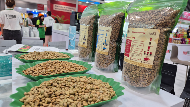 "Cân não" trước vụ cà phê mới - Ảnh 1. "Cân não" trước vụ cà phê mới - Ảnh 1.