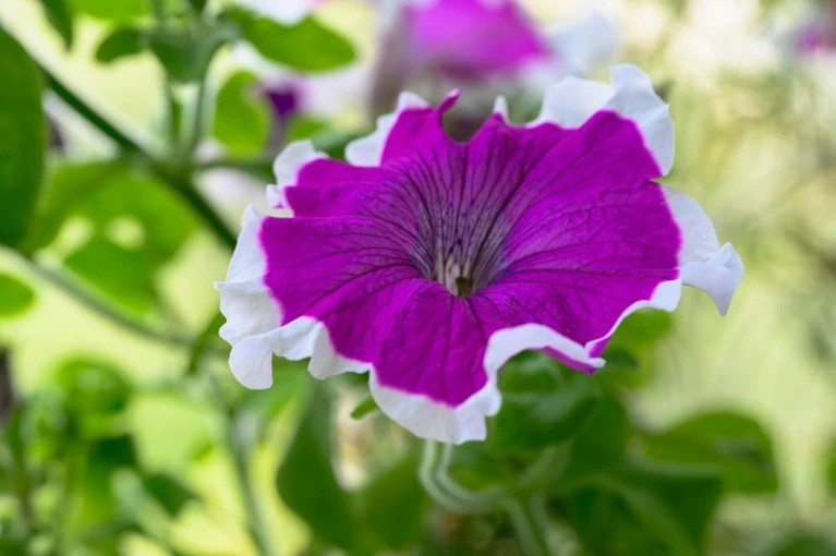 Những ý tưởng 'điên rồ' thay đổi thế giới- Ảnh 6.