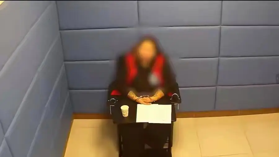 Tin lời "đại gia" trên mạng, người phụ nữ mất trắng hơn 48,6 tỷ đồng- Ảnh 7.