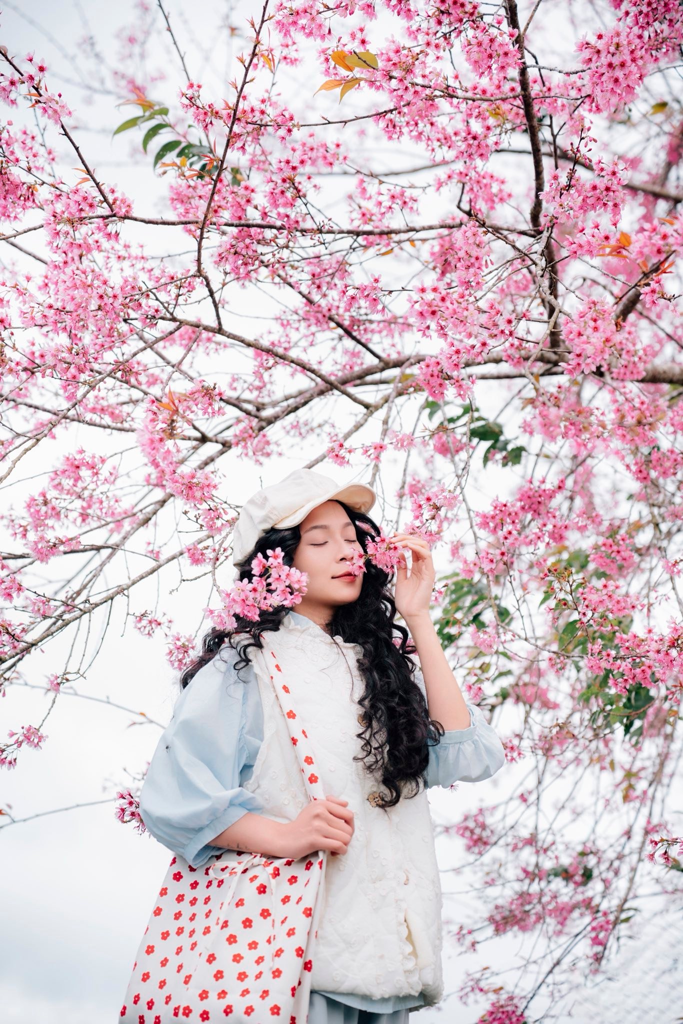 Sắc hồng phủ kín cao nguyên, vạn vật đều thua mùa hoa này ở Đà Lạt- Ảnh 2.