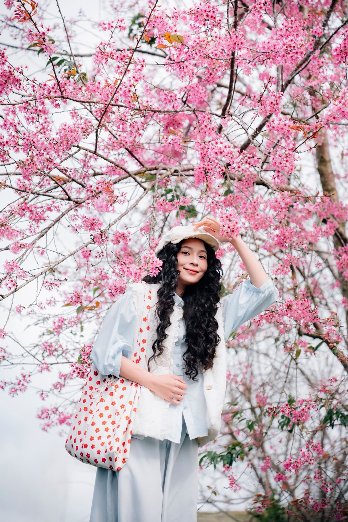 Sắc hồng phủ kín cao nguyên, vạn vật đều thua mùa hoa này ở Đà Lạt- Ảnh 1.