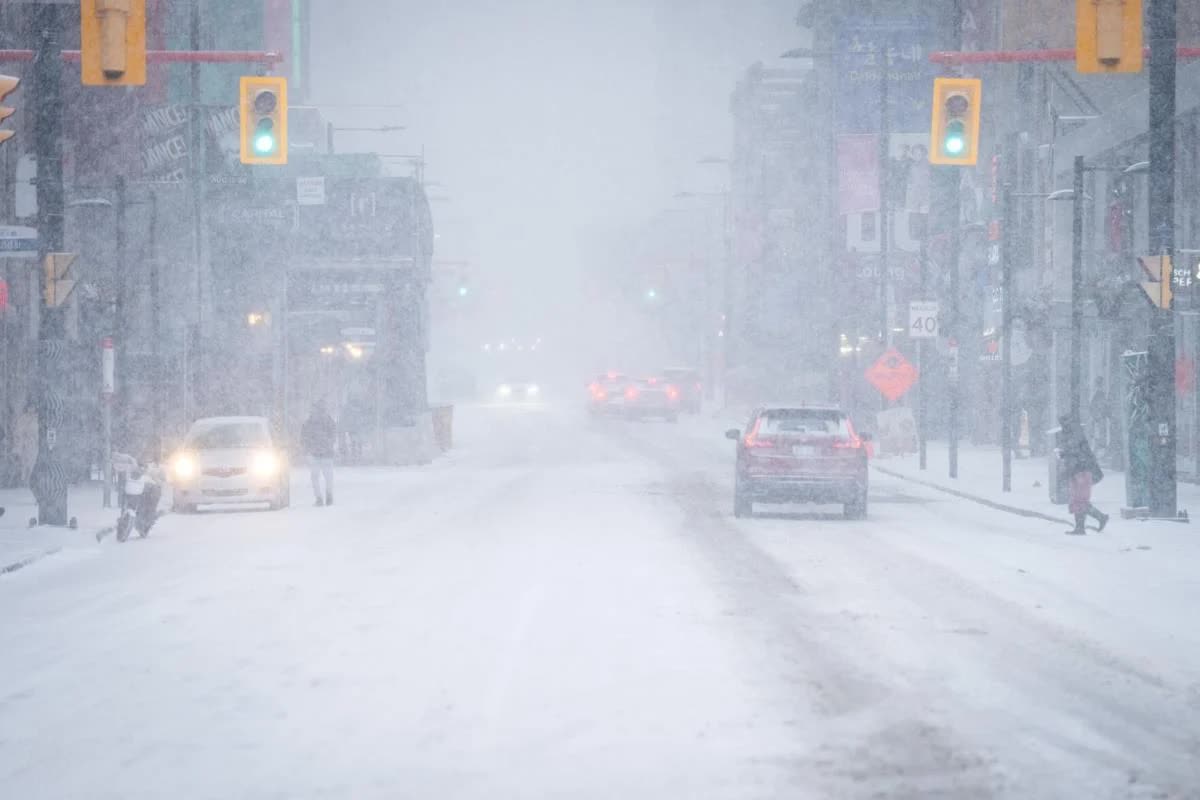 Một quốc gia chứng kiến mùa đông quá lạnh, đạt kỷ lục trong 50 năm- Ảnh 1.