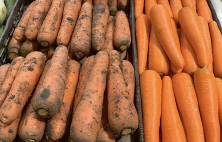 Tôi vừa nhận ra sự khác biệt lớn giữa cà rốt bám bùn đất và cà rốt trắng sạch!- Ảnh 1.