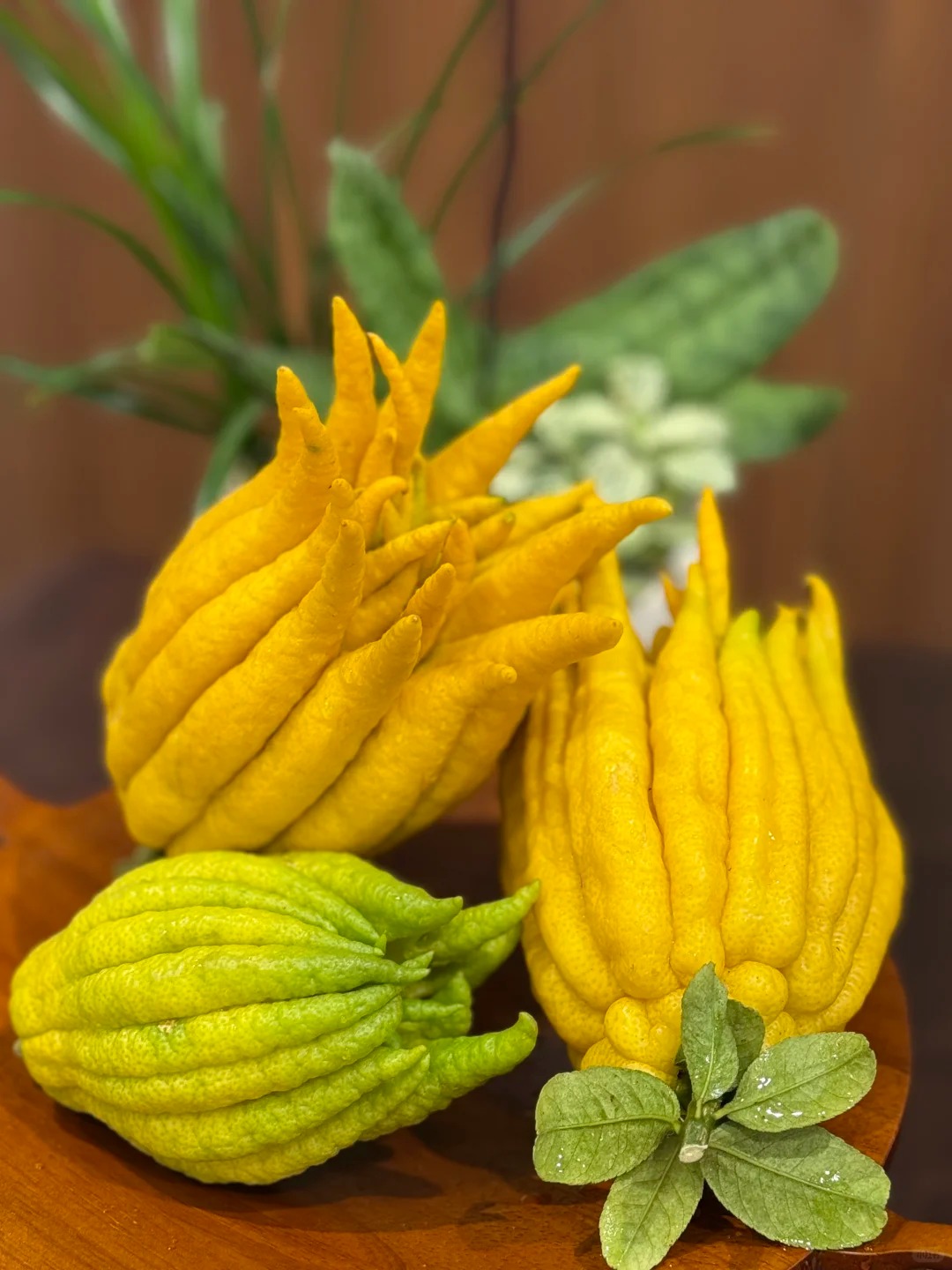 Tết này hội "nghiện nhà" đang săn lùng loại quả đẹp như tranh, thơm lừng cả tháng lại mang ý nghĩa đại cát - Ảnh 18.