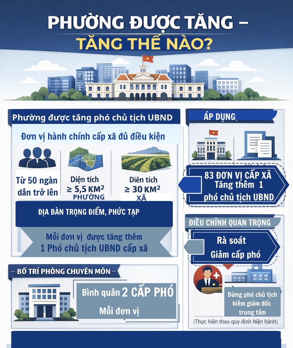 Hơn 80 phường, xã tại TPHCM sắp được bổ sung Phó Chủ tịch UBND - Ảnh 2.