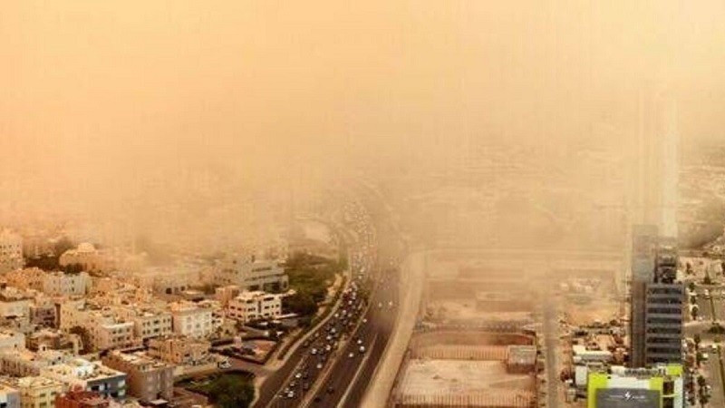 Thành phố nóng nhất thế giới, nơi cá bị luộc chín, chim chết hàng loạt- Ảnh 1.